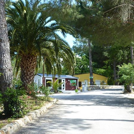 Camping Des Alberes Laroque-des-Albères Dış mekan fotoğraf