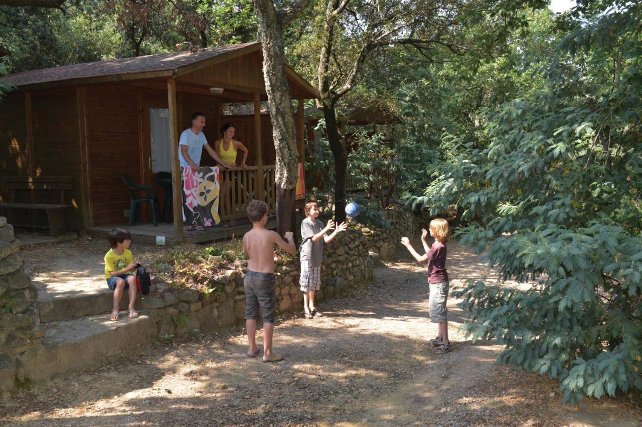 Camping Des Alberes Laroque-des-Albères Dış mekan fotoğraf