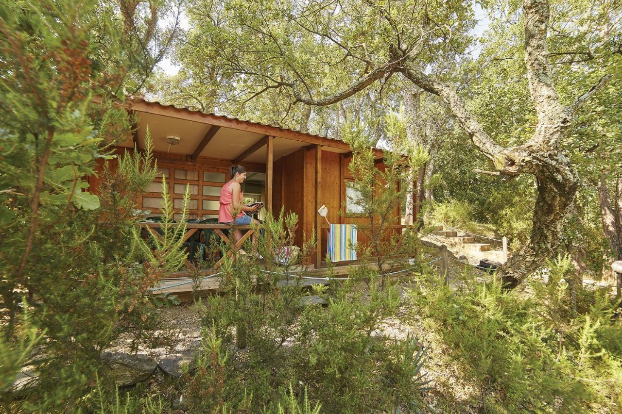 Camping Des Alberes Laroque-des-Albères Dış mekan fotoğraf