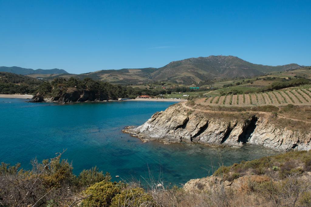 Camping Des Alberes Laroque-des-Albères Dış mekan fotoğraf