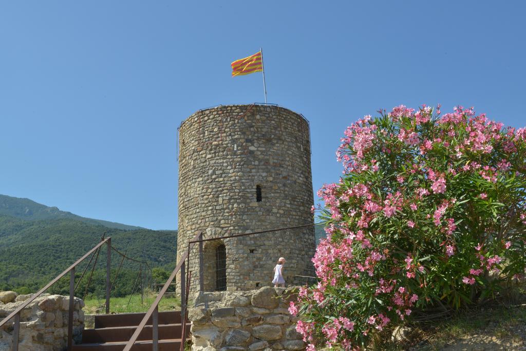 Camping Des Alberes Laroque-des-Albères Dış mekan fotoğraf