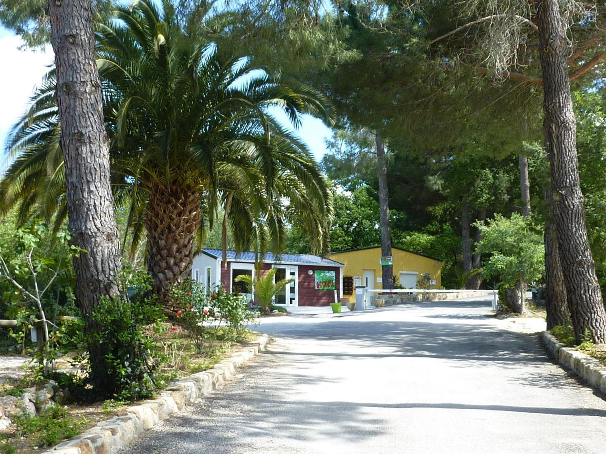 Camping Des Alberes Laroque-des-Albères Dış mekan fotoğraf
