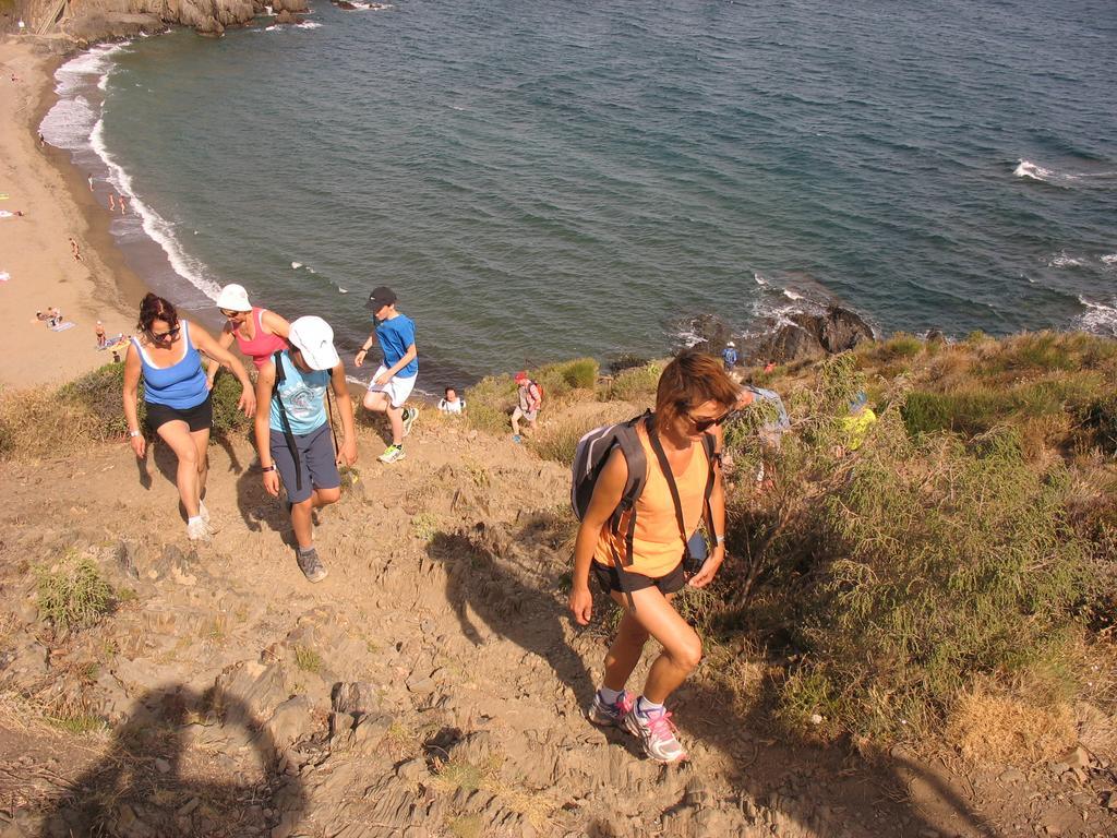 Camping Des Alberes Laroque-des-Albères Dış mekan fotoğraf