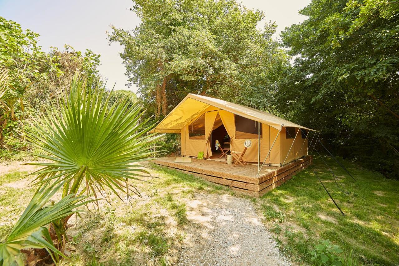 Camping Des Alberes Laroque-des-Albères Dış mekan fotoğraf